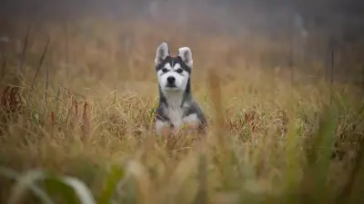 Дожди, гололёд и похолодание: неустойчивая погода ожидается в Казахстане в ближайшие дни