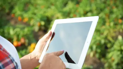 Казахстанские фермеры смогут продавать свою продукцию через маркетплейс