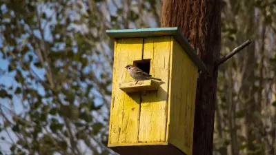 Гололёд и мокрый снег: какой погода будет в апреле в Алматы и Астане