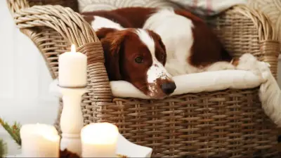 Где в Алматы будут отключать свет в ближайшие дни