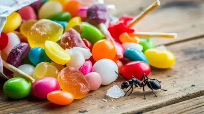 Нашла насекомых в конфетах: жительница Костаная отсудила компенсацию