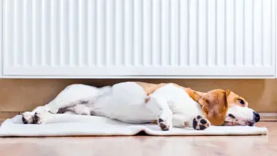 Почему при горячих батареях в квартирах Алматы холодно: названа причина