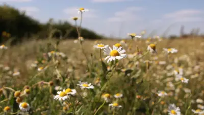 Казахстан вошёл в топ-6 стран мира по сельхозугодьям