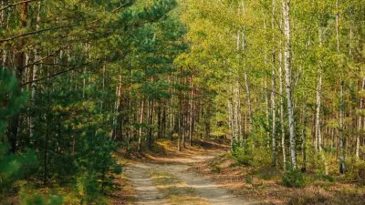 Территорию в 15 тысяч га отнесут к санитарно-защитной зоне в Астане: что это значит для жителей