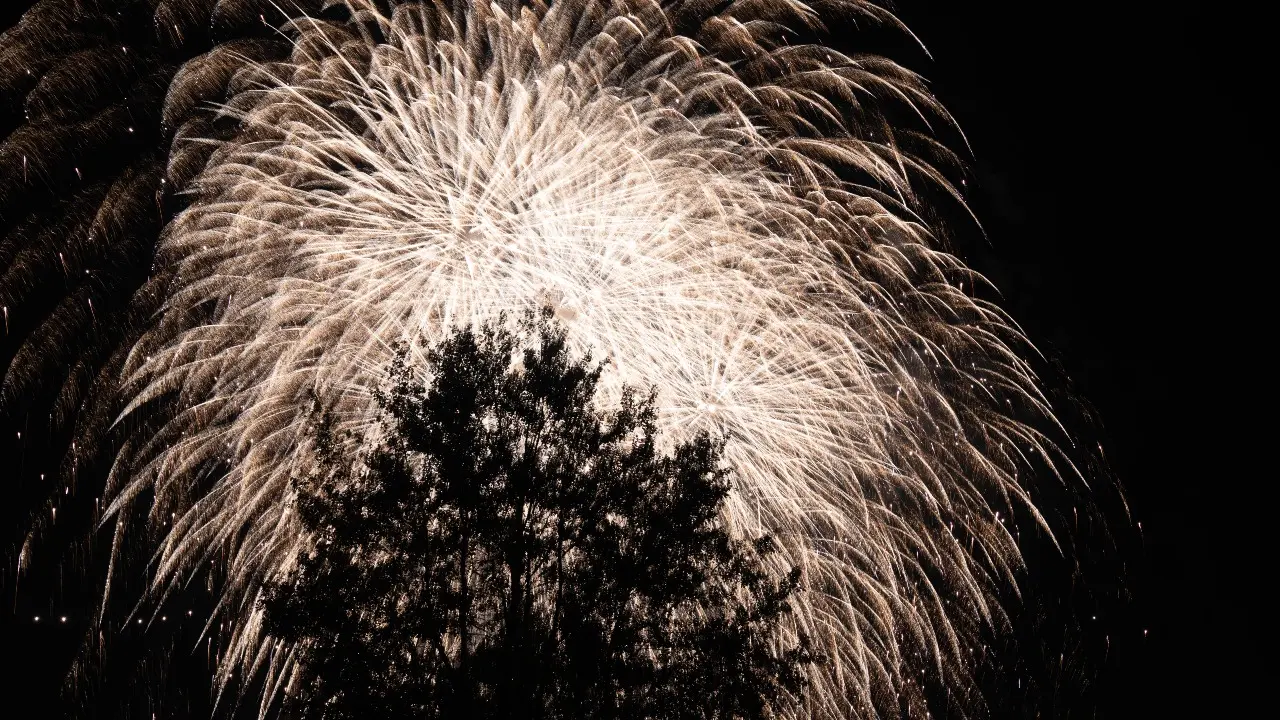 Фото Depositphotos.com