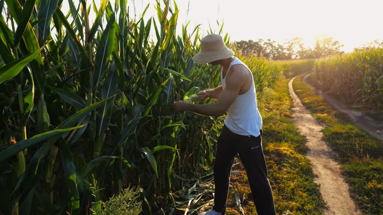 Фото Depositphotos.com