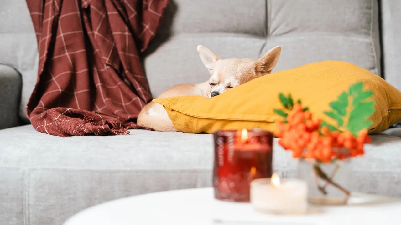 Фото Depositphotos.com