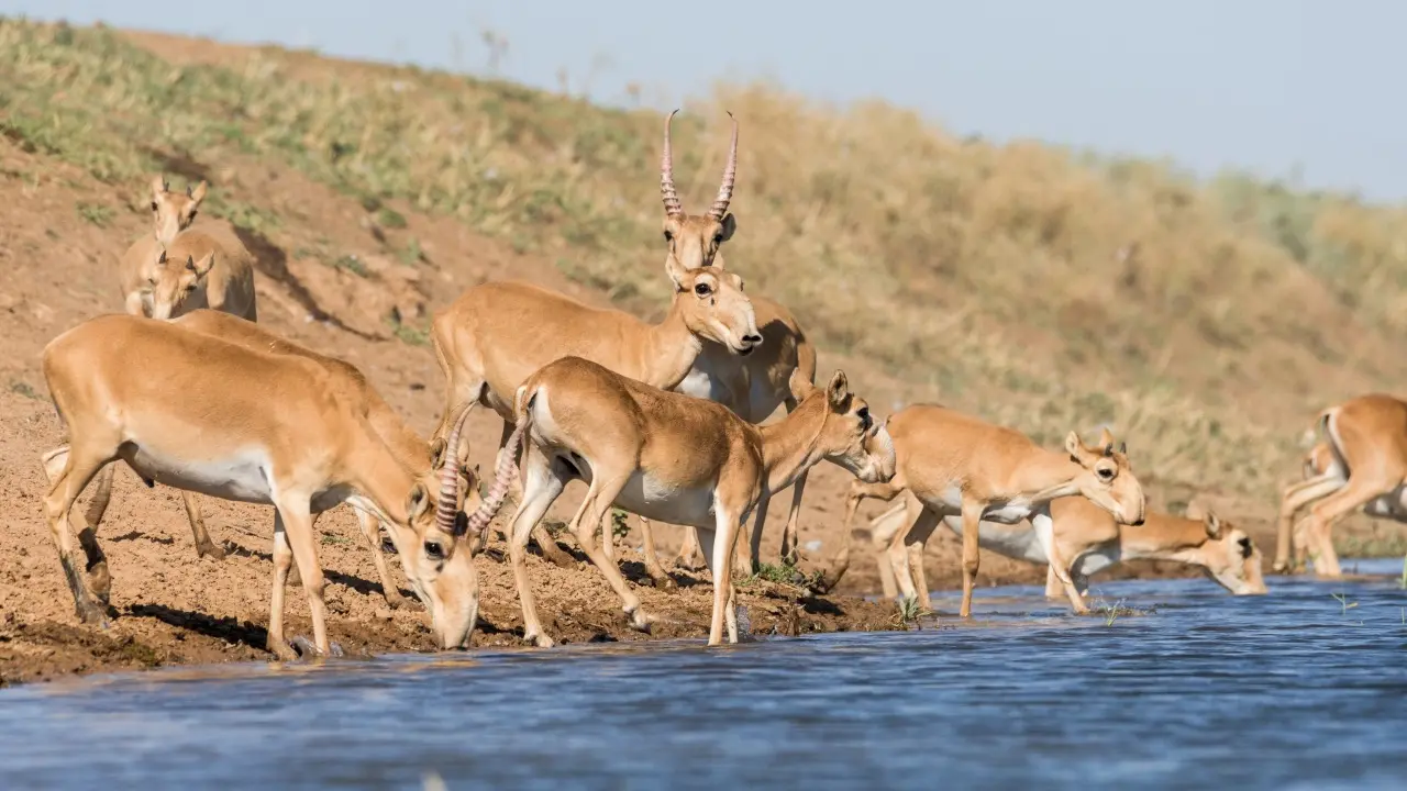 Фото Depositphotos.com