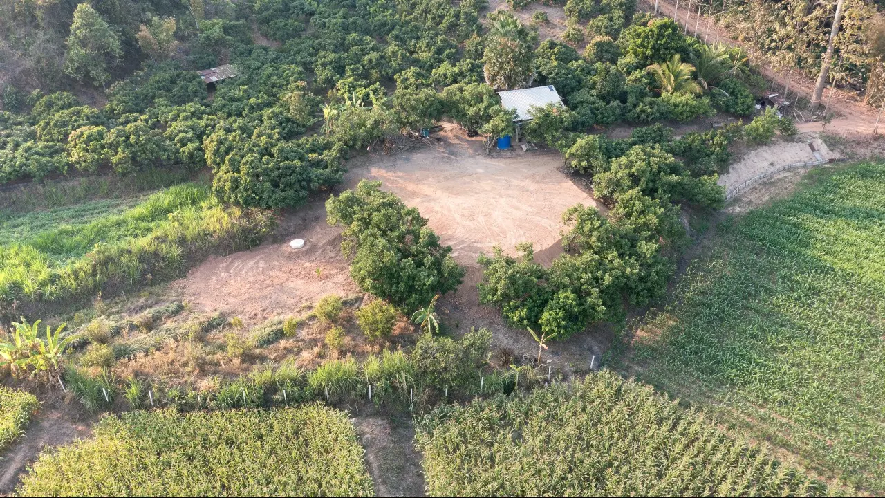 Инвестора обязали дважды оплатить компенсацию за один и тот же участок земли в Костанайской области