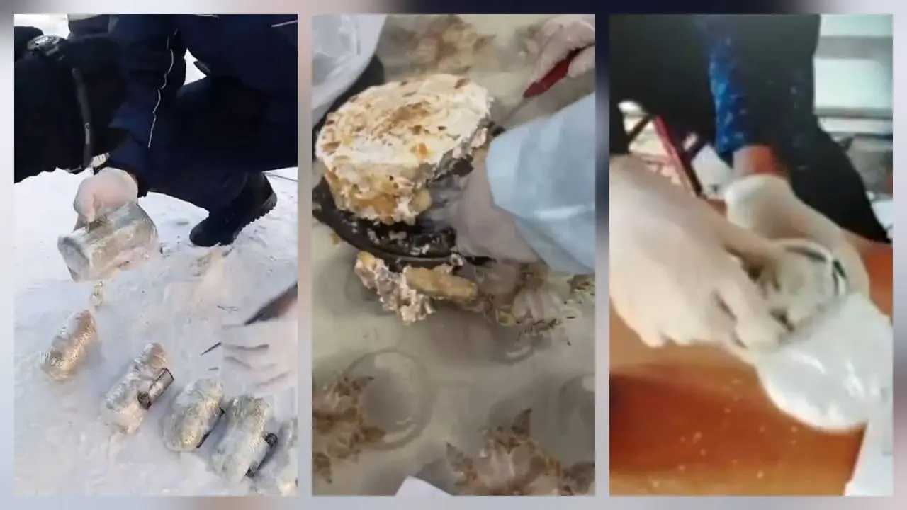 Фото с сайта Polisia.kz