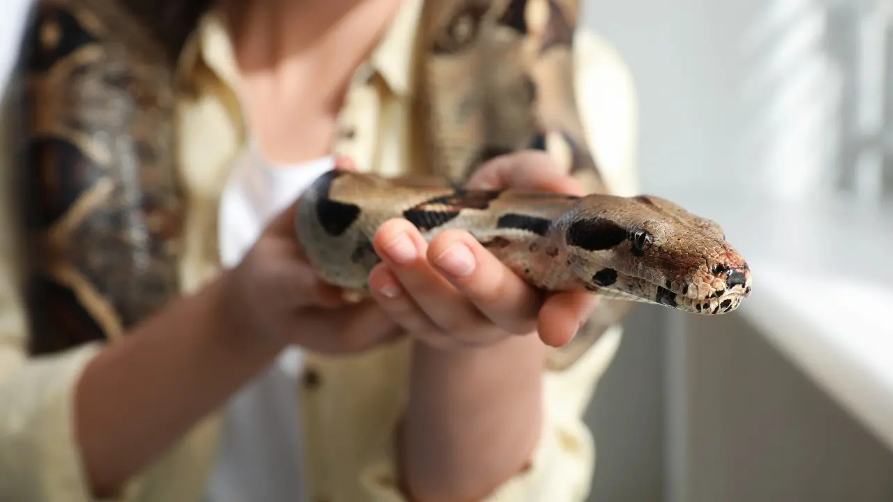 Фото Depositphotos.com