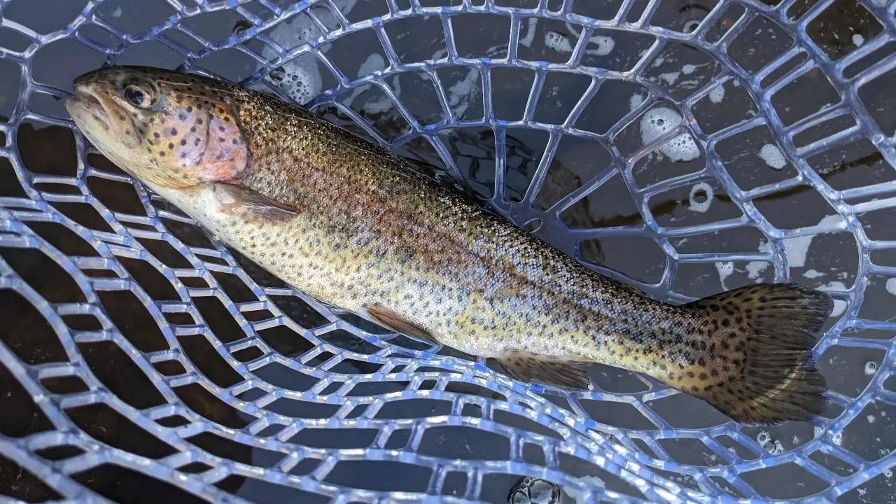 Фото Depositphotos.com