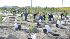 "Таза орта – жарқын болашақ": Атырауда ауқымды сенбілік өтті