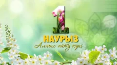 Алматы әкімі Дархан Сатыбалды тұрғындарды Алғыс айту күнімен құттықтады