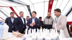 АҚ MАЯ FEST: как шубат может стать новым брендом Мангистау