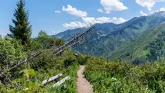 Горные гиды предложили создать единую систему пеших маршрутов в Almaty SuperSki
