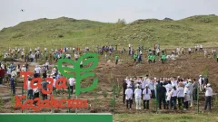 Экопарк в виде карты Восточного Казахстана открыли на перевале Чечек