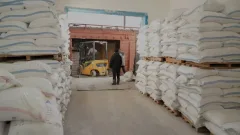 В Туркестанской области модернизирован и запущен современный завод по переработке пшеницы