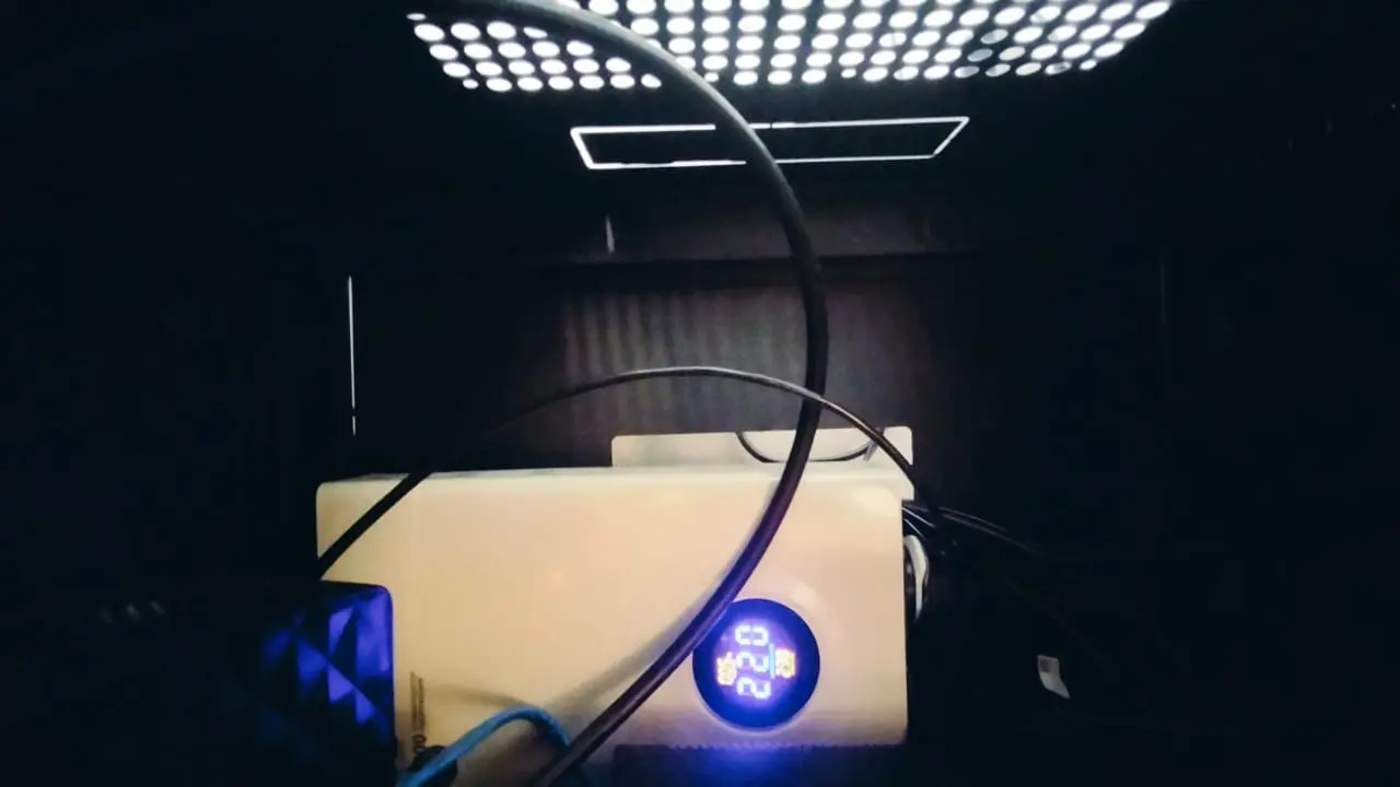 Связь с большим миром: в самом удалённом селе ВКО появился интернет