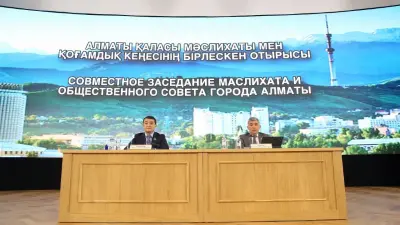 Маслихат и Общественный совет Алматы поддержали проект новой Конституции