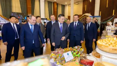 Высокий урожай и рост переработки: в ВКО отметили День работников АПК