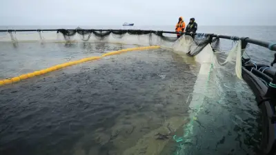 В Мангистауской области реализуется первый в Центральной Азии морской аквакультурный проект