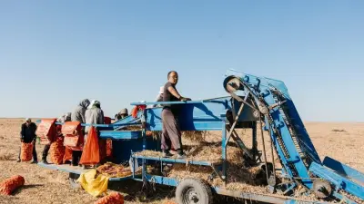 В Атырауской области объём производства сельскохозяйственной продукции достиг 116,8 млрд тенге