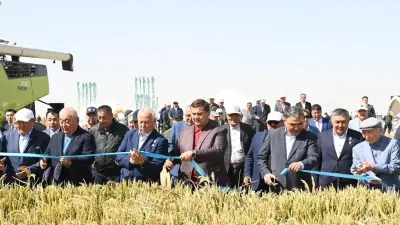 Сыр өңіріндегі егіс алқаптары әртараптандырылып жатыр