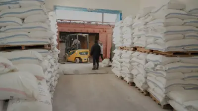 В Туркестанской области модернизирован и запущен современный завод по переработке пшеницы