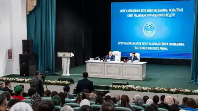 В Коксуском районе области Жетісу за три года в госсобственность возвращено 46,9 тысячи гектаров неиспользуемых земель