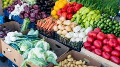 Сельскохозяйственная ярмарка пройдёт в Астане в ближайшие выходные