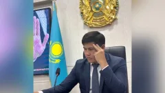 Против бывшего заместителя районного акима начали расследование в Алматинской области