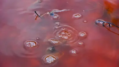 Красная вода в арыках Макинска: экологи нашли источник загрязнения