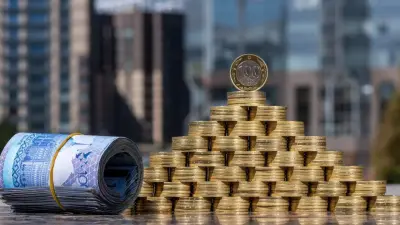 Новые эпизоды по делу финансовой пирамиды HAS начали расследовать в Павлодарской области