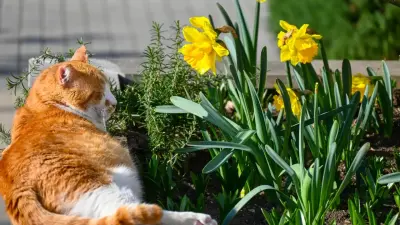 Какой будет погода весной в Алматы