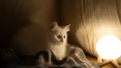 Где в Алматы отключат свет в ближайшие дни – график