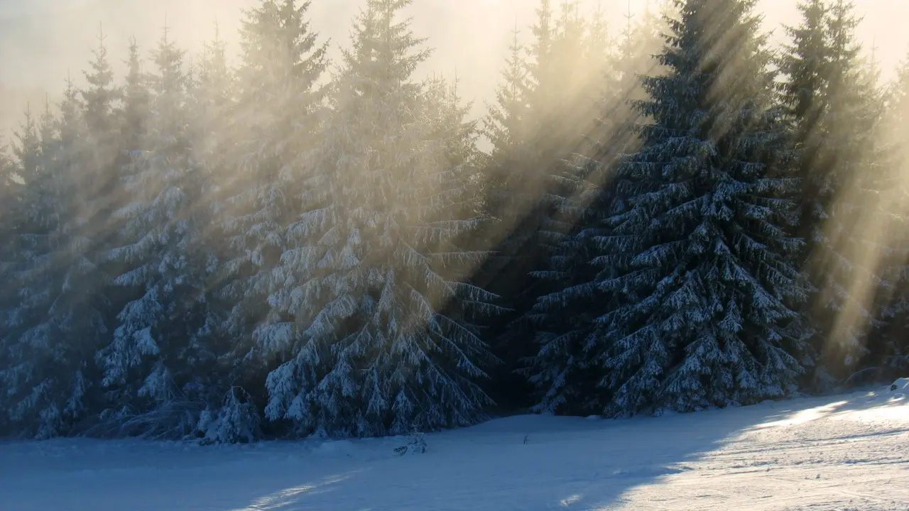 Фото Depositphotos.com