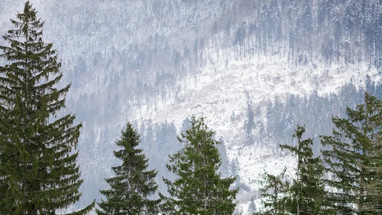 Фото Depositphotos.com