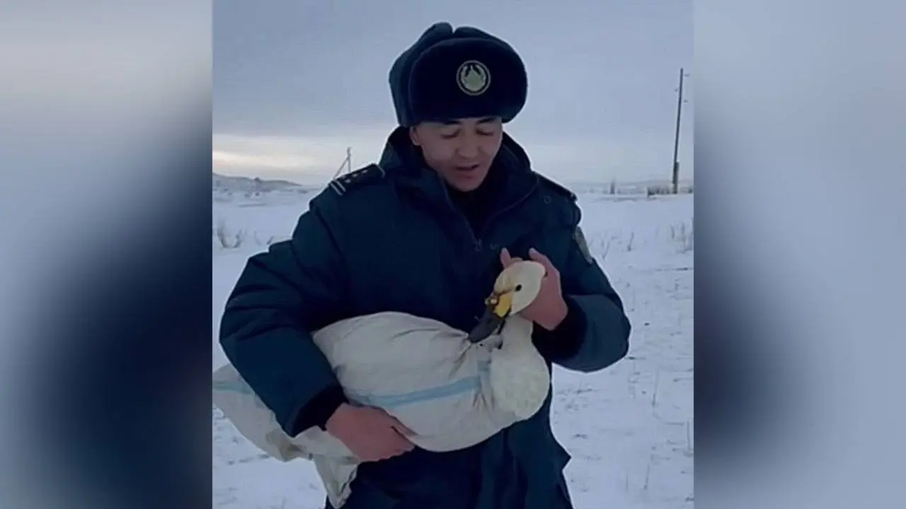 Скриншот из видео Polisia.kz