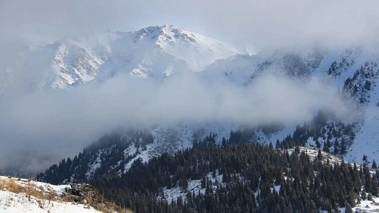 Фото Depositphotos.com