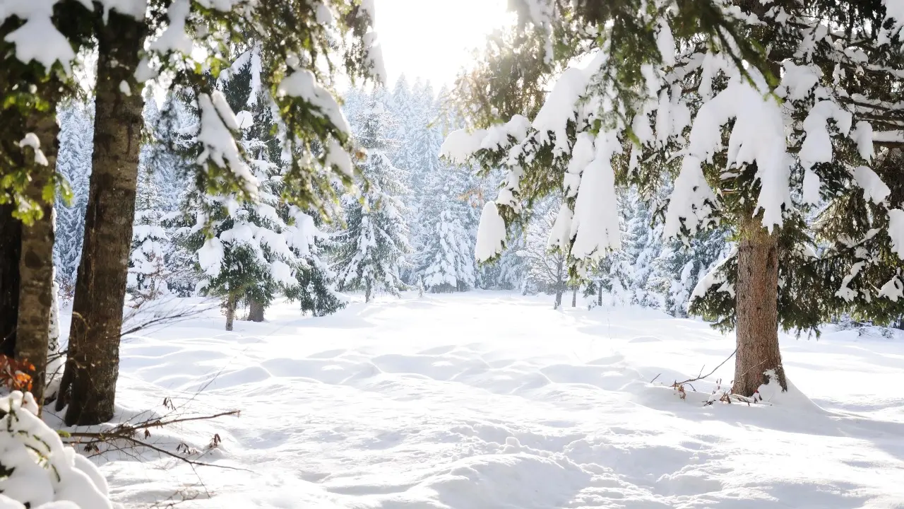 Фото Depositphotos.com