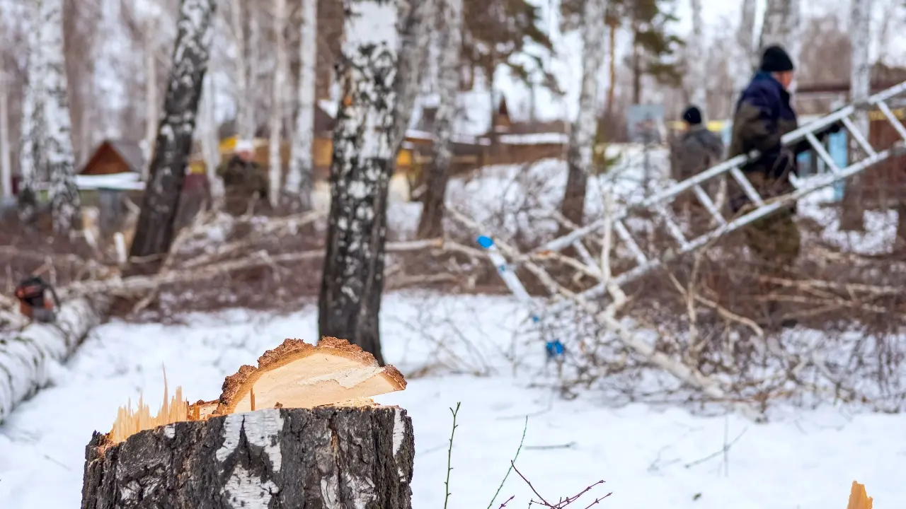 Фото Depositphotos.com