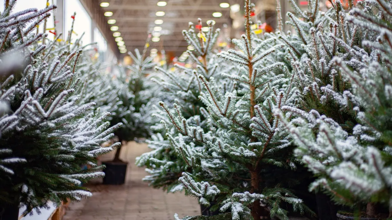 Фото Depositphotos.com