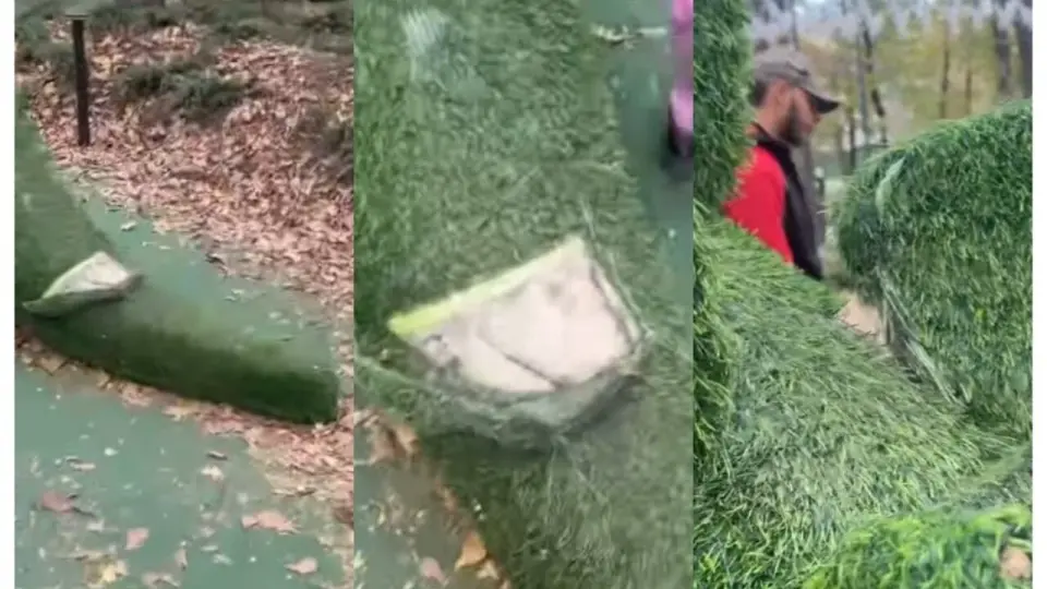 Кадр видео