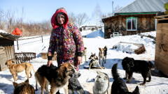 "Ёсин дом". Как животные, которых пытались застрелить и выбрасывали с пятого этажа, тянутся к людям