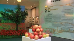 Елбасы кітапханасының музейінде "Алматы – Тәуелсіздіктің алтын бесігі" атты көрме ашылды