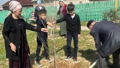 Неделя "Таза өлке" в Туркестанской области: бабушки вместе с внуками посадили деревья