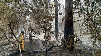 "Казцинк" окажет помощь семьям погибших лесников в Абайской области