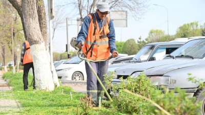 В Шымкенте приступили  к исполнению поручений президента