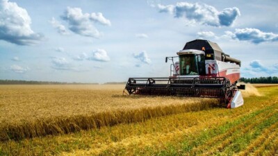 Ассоциация фермеров: Почему необходимо продлить программу льготного кредитования в сельском хозяйстве
